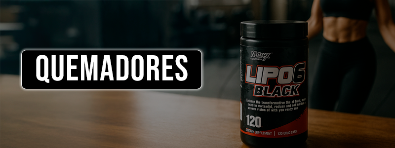 Body Fit Supplements